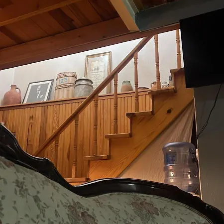 Sekercigiller * Ayvalı